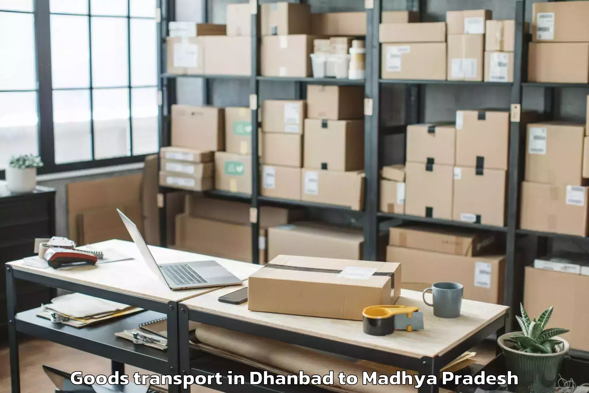 Top Dhanbad to Gyaraspur Goods Transport Available